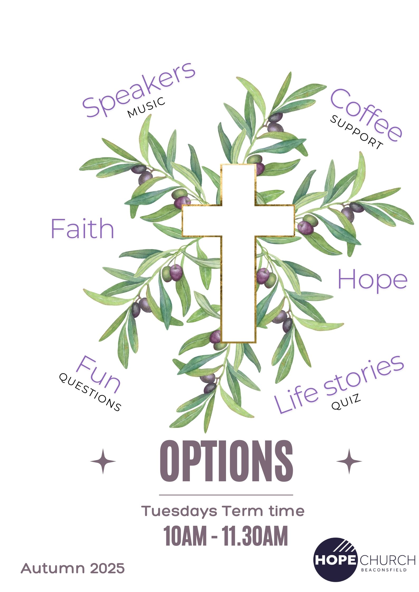 Options Cover 2025